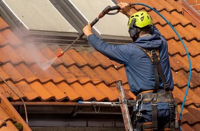 Démoussage et hydrofuge de toiture au Fréty